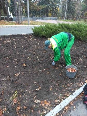 РОБОТИ З БЛАГОУСТРОЮ РАЙОНУ 