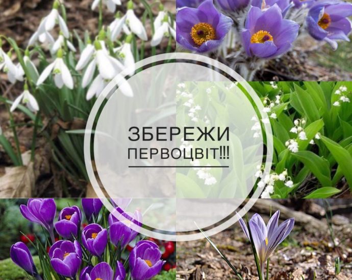 Операція «Первоцвіт-2025»: захистимо ранньоквітучі рослини разом!