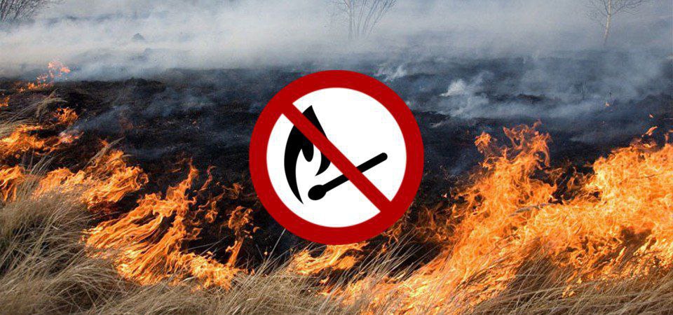 Не пали суху траву! Збережи себе,  інших людей, тварин та природу!